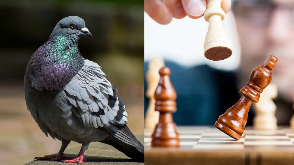 remove-bad-luck-get-good-luck-rituals