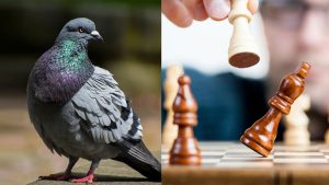 remove-bad-luck-get-good-luck-rituals